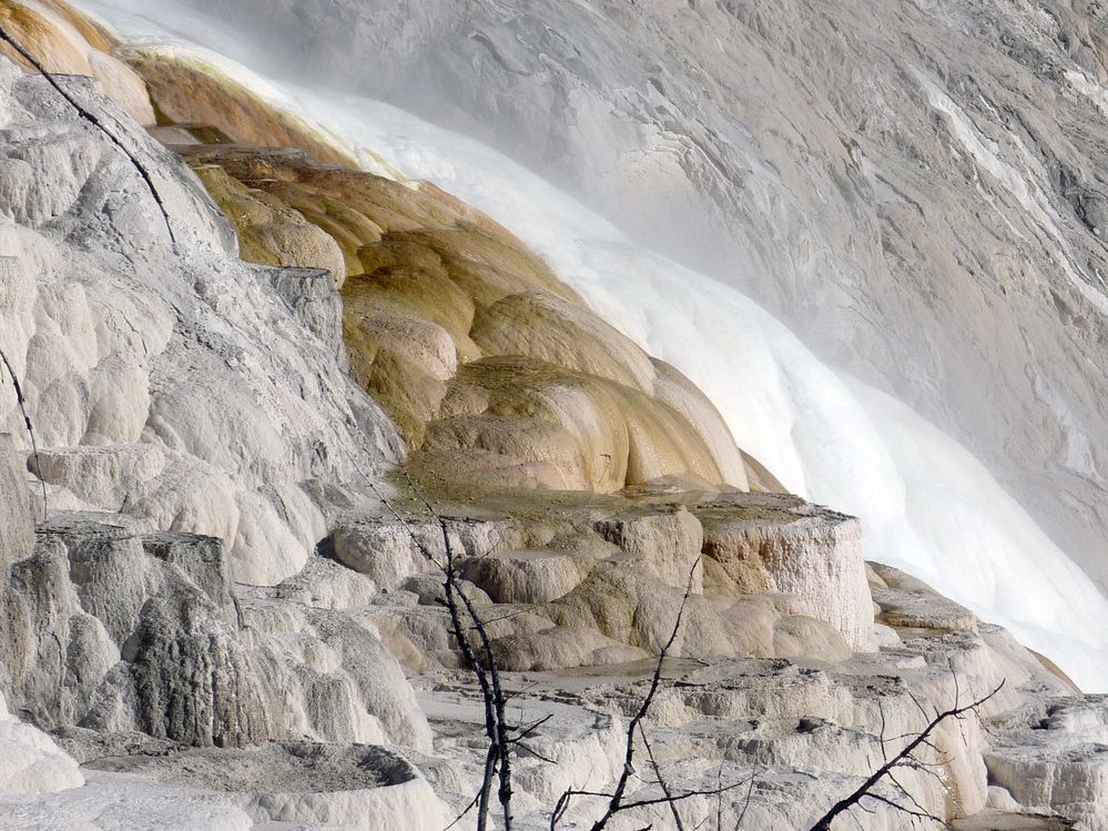 Yellowstone Mammoth Hotsprings (68).JPG